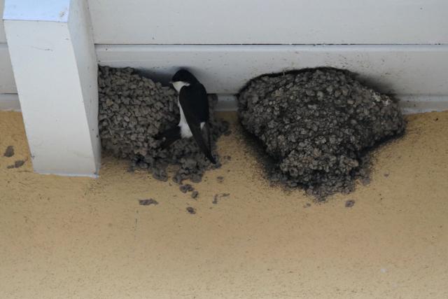 Foto: Brigitte Melder