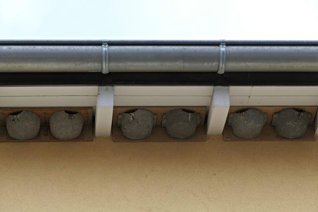 Foto: Brigitte Melder