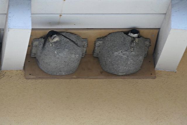 Foto: Brigitte Melder