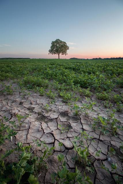 Risse im Feld