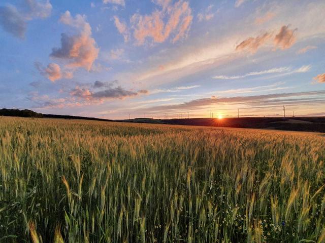 Sonnenuntergang "über" Unkenbach, 5. Juni 2o2o  | Foto: Arno Mohr, Unkenbach 