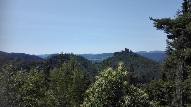 Sehnsuchtsblick - von Förlenberg zum Trifels.
 | Foto: Hammer Anita