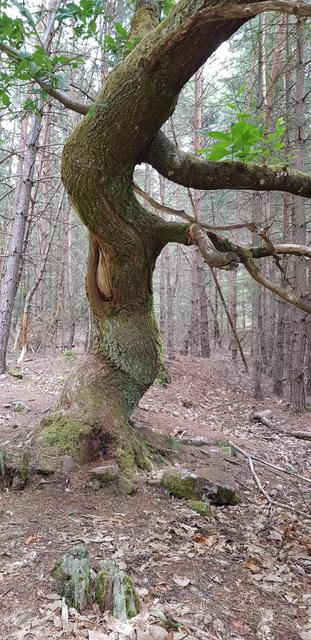 Foto: Manuela Pfaender