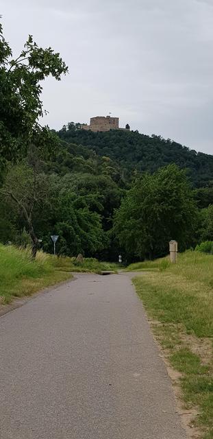 Das Hambacher Schloss | Foto: Manuela Pfaender