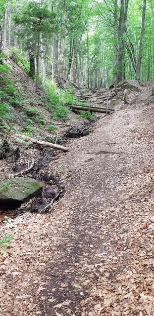 Foto: Manuela Pfaender