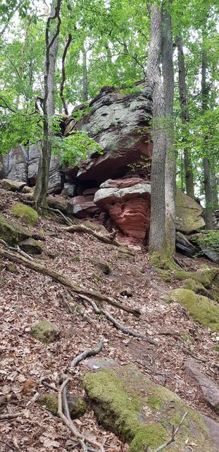 Felsenmeer | Foto: Manuela Pfaender