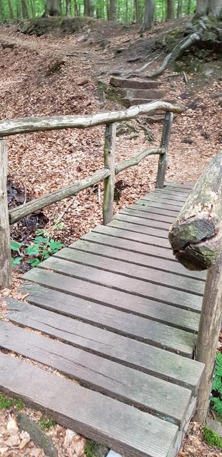 Foto: Manuela Pfaender