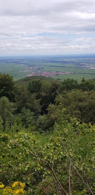 Ausblick Kalmit  | Foto: Manuela Pfaender