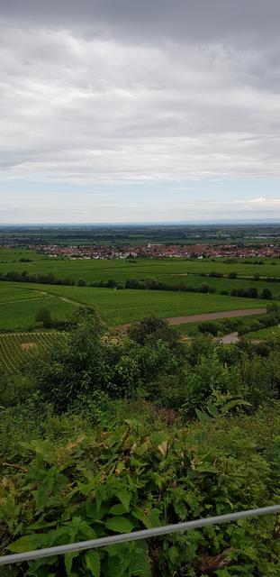 Ausblick Terrasse Zeter Berghaus (bei nicht so schönem Wetter - leider) | Foto: Manuela Pfaender