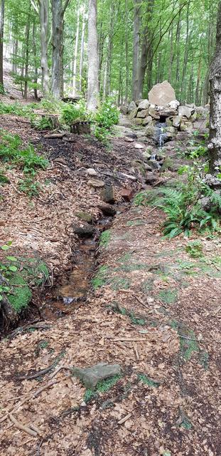 Foto: Manuela Pfaender