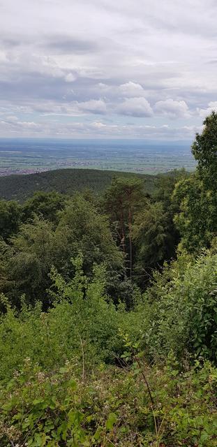 Ausblick Kalmit | Foto: Manuela Pfaender