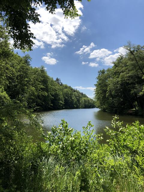 „Blechhammer“ geniale Natur👍