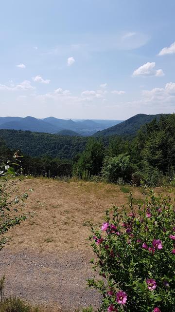 Foto: Manuela Pfaender