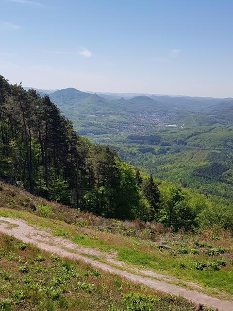 Foto: Manuela Pfaender