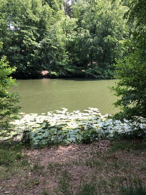 „Blechhammer“😍