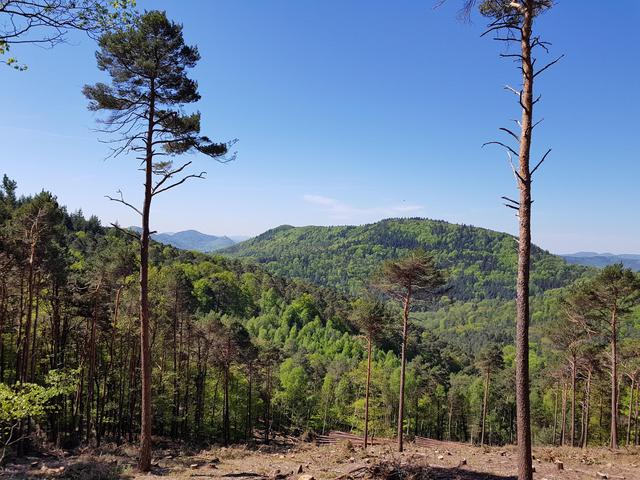 Foto: Manuela Pfaender