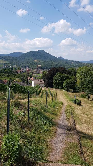 Foto: Manuela Pfaender