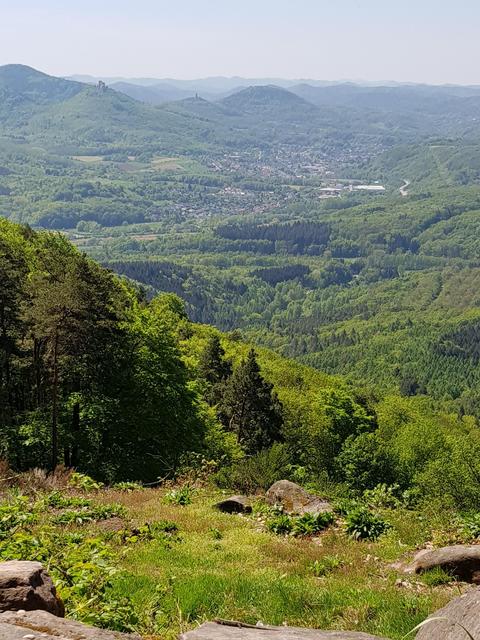 Foto: Manuela Pfaender