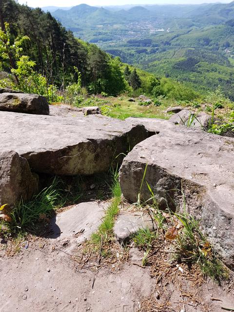 Foto: Manuela Pfaender