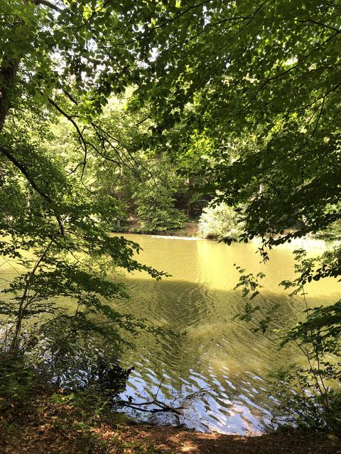 „Blechhammer“👍