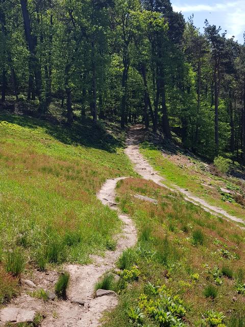 Foto: Manuela Pfaender