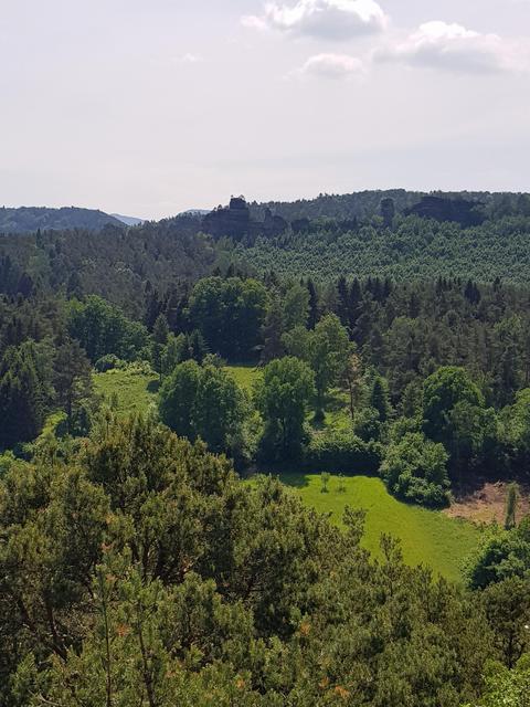 Foto: Manuela Pfaender