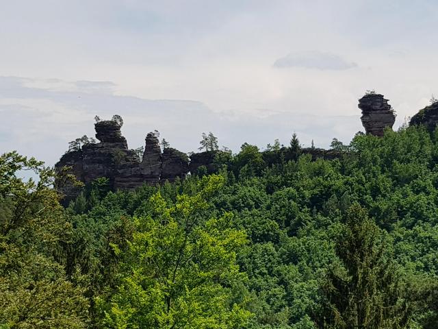 Foto: Manuela Pfaender