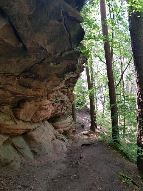 Foto: Manuela Pfaender