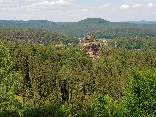 Foto: Manuela Pfaender