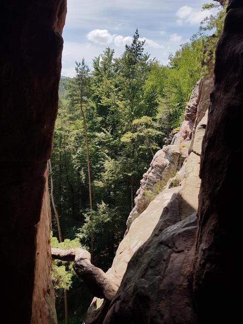 Foto: Manuela Pfaender