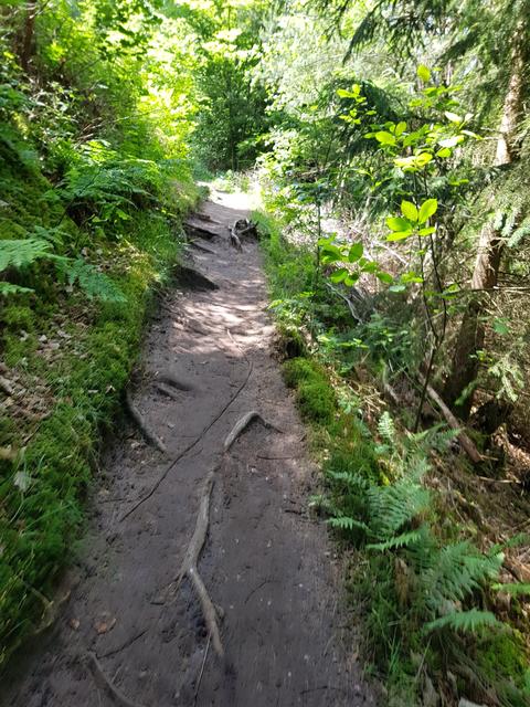 Foto: Manuela Pfaender