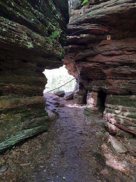 Foto: Manuela Pfaender