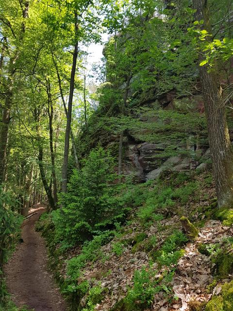 Foto: Manuela Pfaender