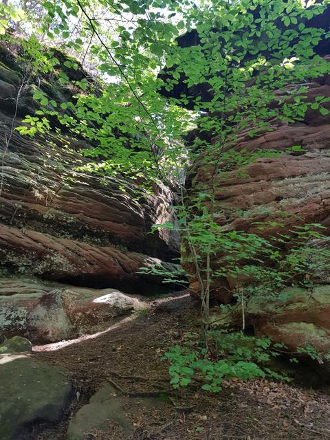 Foto: Manuela Pfaender