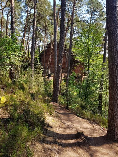 Foto: Manuela Pfaender