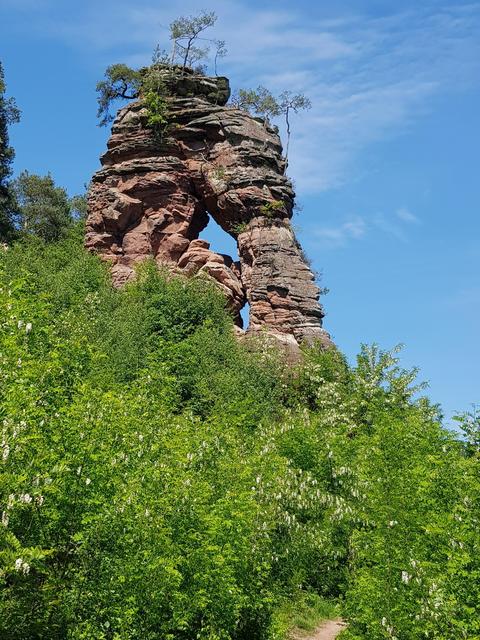 Foto: Manuela Pfaender