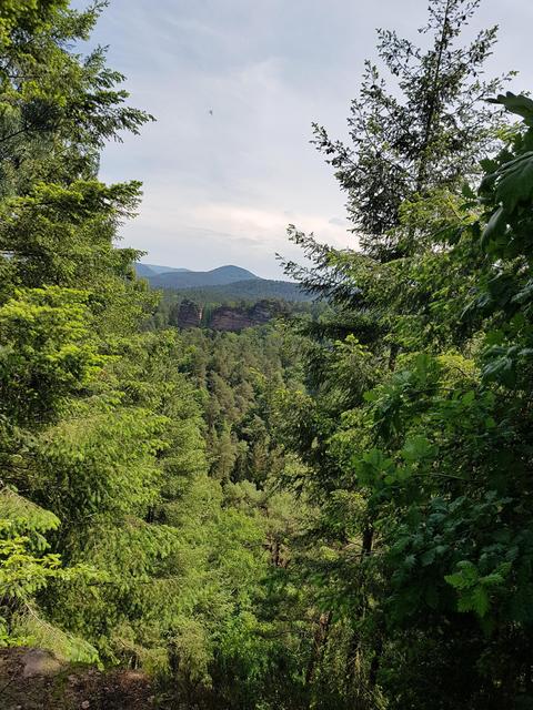 Foto: Manuela Pfaender