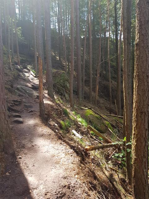 Foto: Manuela Pfaender