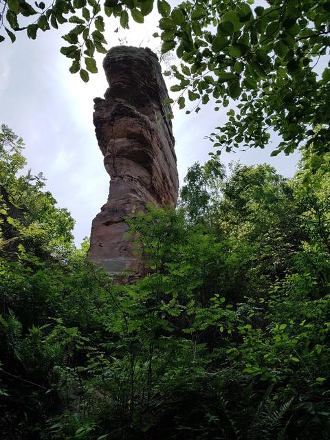 Foto: Manuela Pfaender