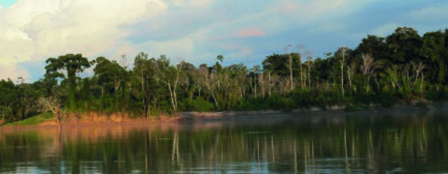 Amazonien – Milliarden Liter Wasser im Kreislauf von Verdunstung und Niederschlag beeinflussen unser Weltklima. Noch können die Bäume diesen wertvollen Beitrag für unsere Lebensräume leisten. Doch der Regenwald wird viel zu schnell vernichtet. | Foto: regenwaldladen