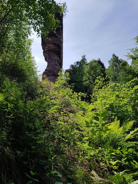 Foto: Manuela Pfaender