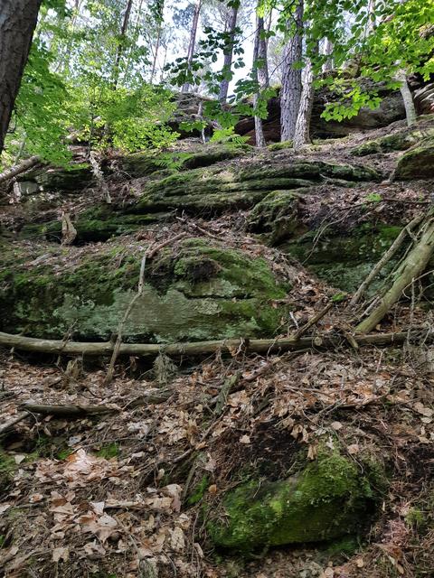 Foto: Manuela Pfaender