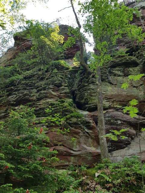 Foto: Manuela Pfaender