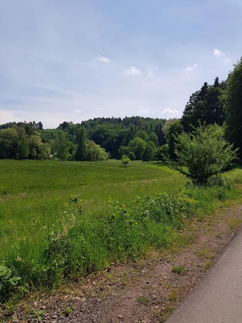 Foto: Manuela Pfaender