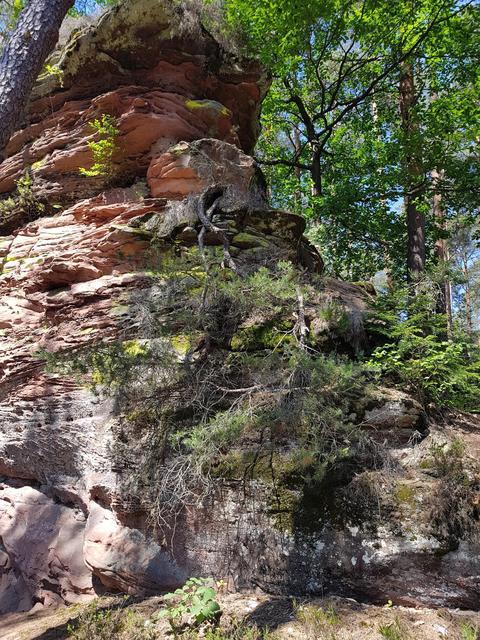 Foto: Manuela Pfaender