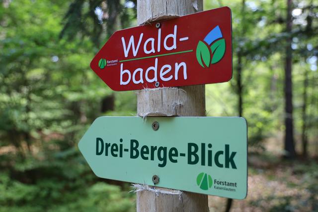 Foto: Ralf Vester