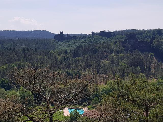 Foto: Manuela Pfaender