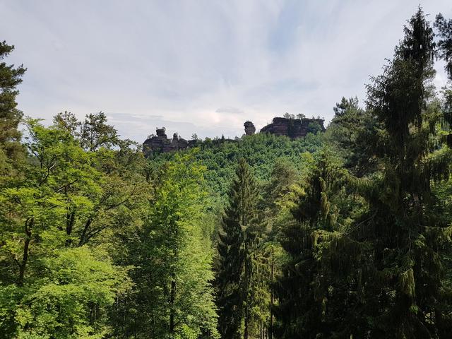 Foto: Manuela Pfaender