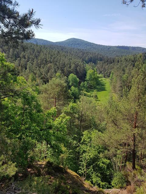 Foto: Manuela Pfaender