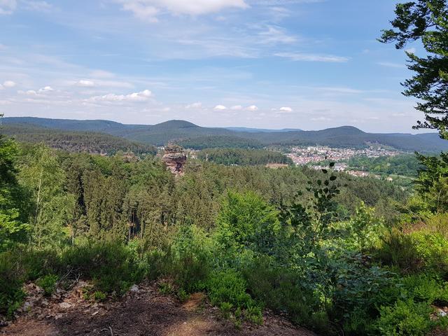 Foto: Manuela Pfaender